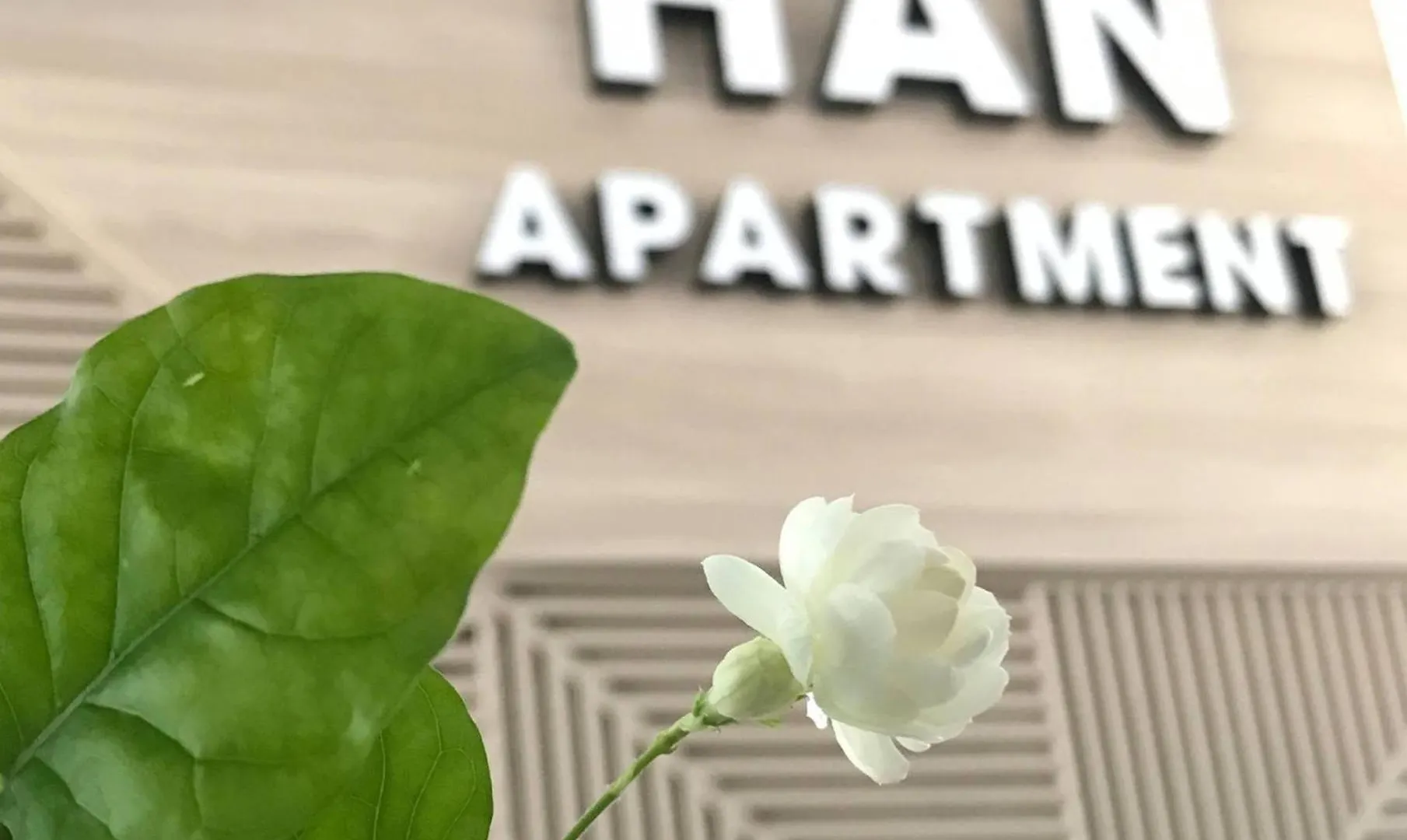 Han Apartment Da Nang Aparthotel